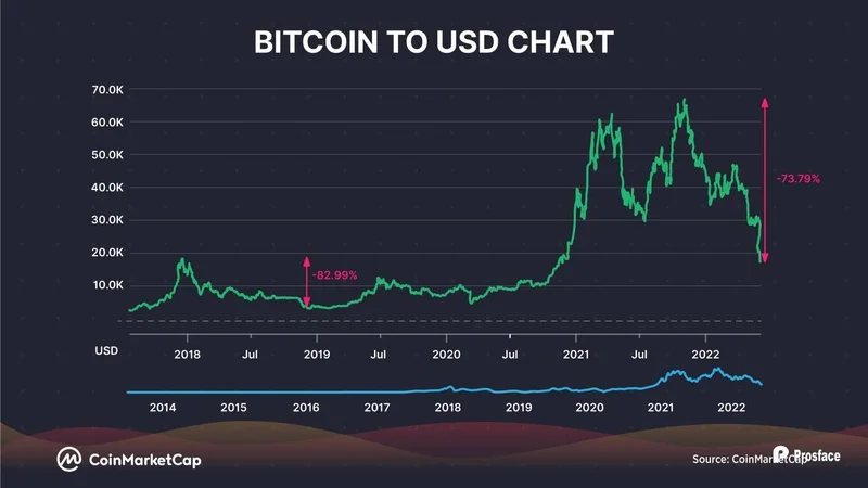 CoinMarketCap: What's the Real Deal with Crypto and Bitcoin?
