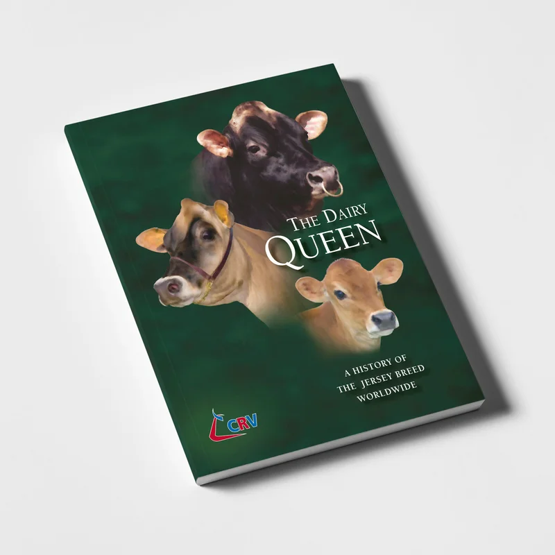 Dairy Queen Rival Faces Chapter 11: What We Know and Why It Matters