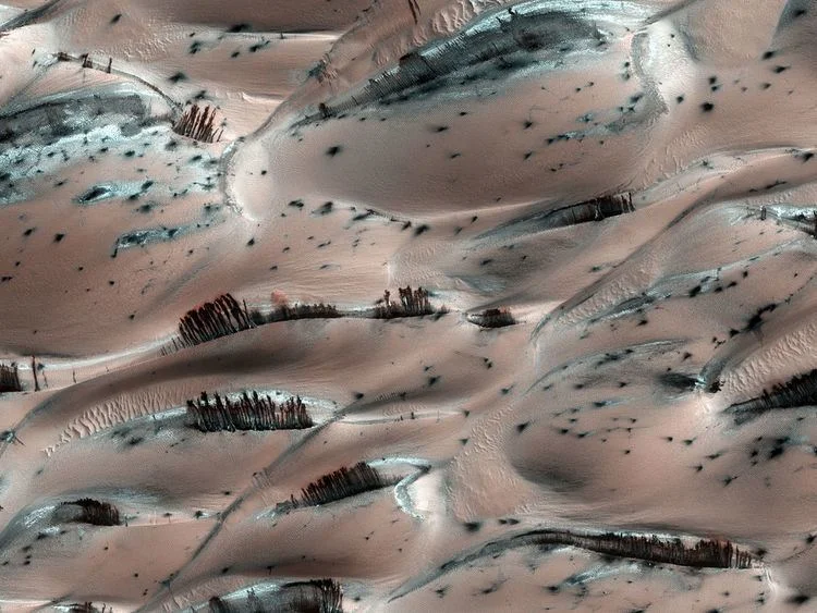 Mars' Ancient Life Potential: What NASA's Discoveries Reveal – What Reddit is Saying